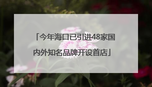 今年海口已引进48家国内外知名品牌开设首店